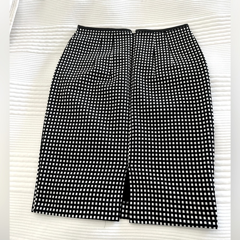 Express Pencil Skirt - Picture 2 of 4